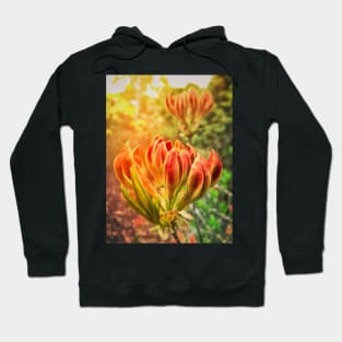 Spring Azalea Buds Hoodie